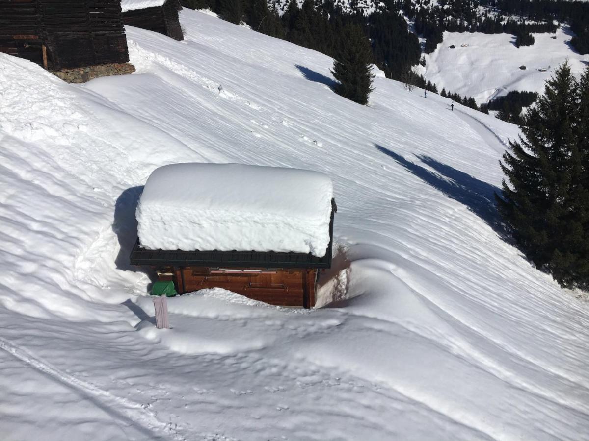 Casa Cuschina - Mit Sauna In Der Schoenen Surselva Dardin Экстерьер фото